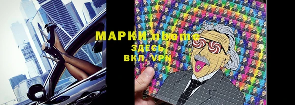 дживик Верхний Тагил