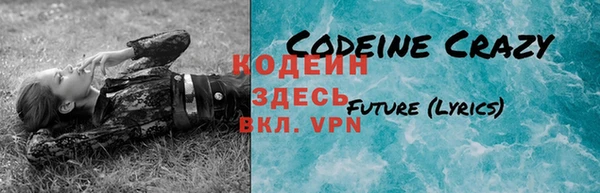 дживик Верея