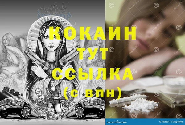 дживик Верея