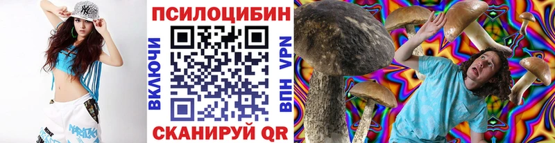 Псилоцибиновые грибы GOLDEN TEACHER Нурлат